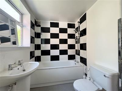 Picture 7